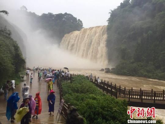 60余名臺商雨中觀黃果樹瀑布 看好貴州旅游發(fā)展前景