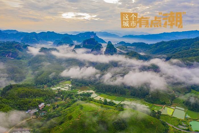 福建武夷山：一葉“大紅袍” 茗香漫青山